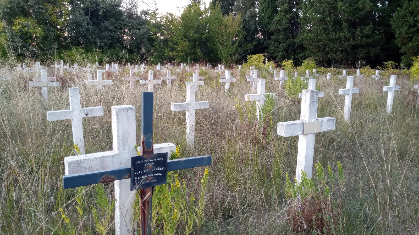 Reihen weißer Kreuze auf dem Gedenkfriedhof Kampor auf Rab