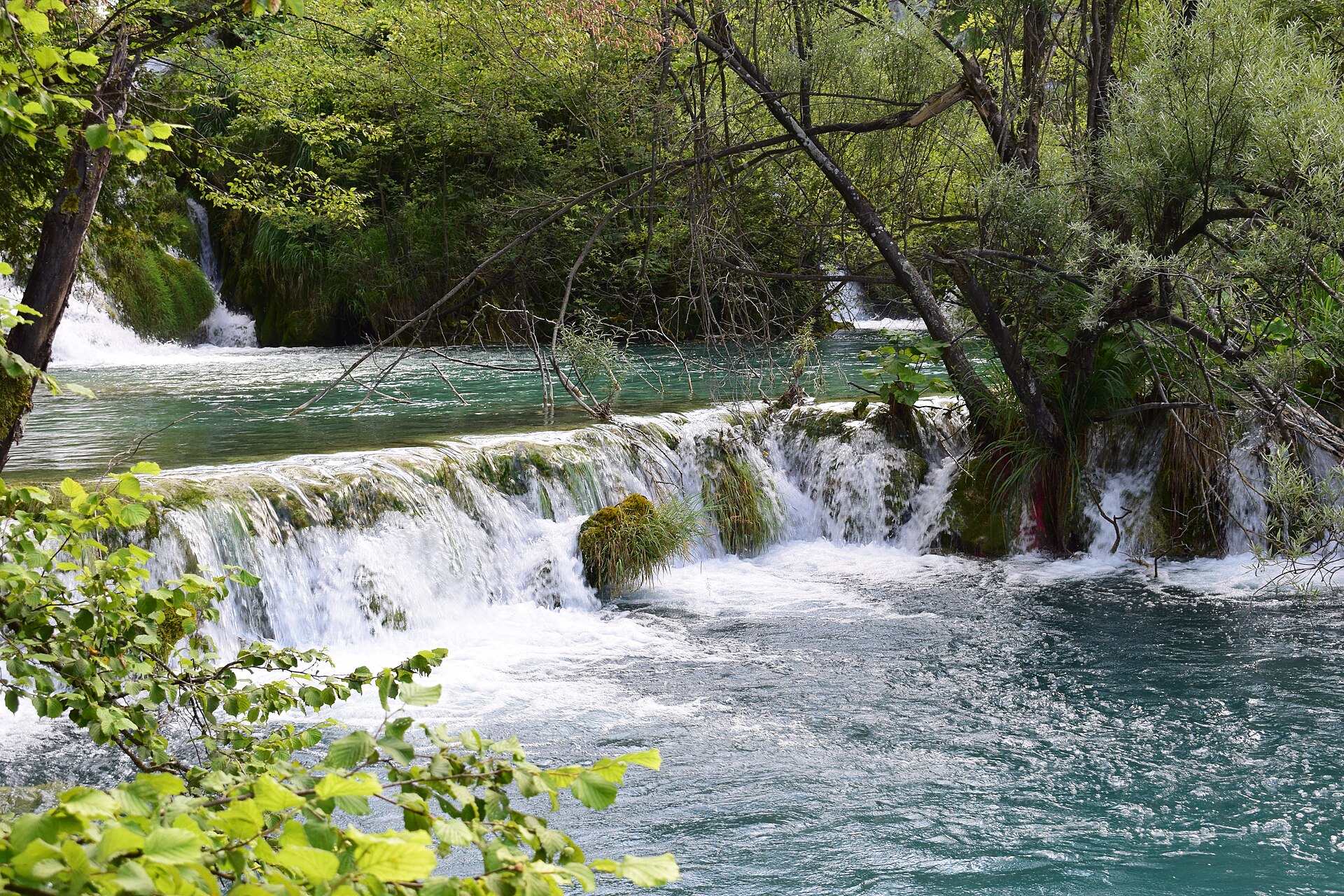 Grüne Wasserfälle im Nationalpark Plitvicer Seen